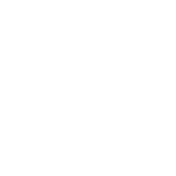 LinkedIn Icon